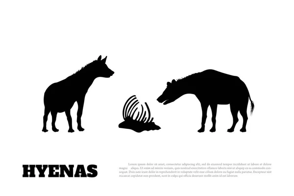 Detalle de silueta de hiena negra sobre fondo blanco. Animales africanos . — Vector de stock