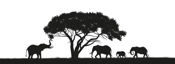 Silhueta negra de elefantes em Savannah. Animais de África. Paisagem africana. Panorama da natureza selvagem —  Vetores de Stock