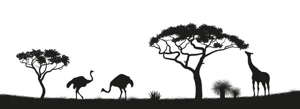 Silhueta preta de avestruz, girafa em Savannah. Animais de África. Paisagem africana. Panorama da natureza selvagem —  Vetores de Stock