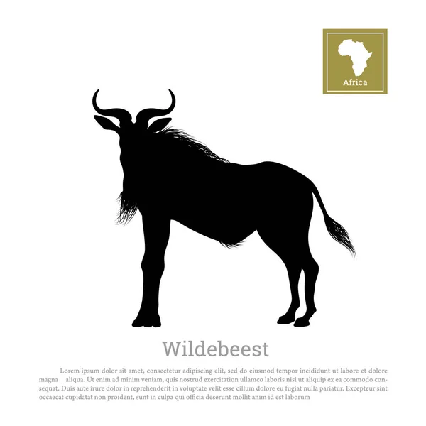 Silueta negra detallada de ñus sobre fondo blanco. Animales africanos — Archivo Imágenes Vectoriales