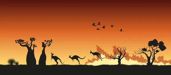 Siluet hitam hewan Australia dalam kebakaran semak. Berdoa untuk Australia. Adegan kebakaran hutan dengan kanguru, koala dan burung beo Stok Ilustrasi Bebas Royalti