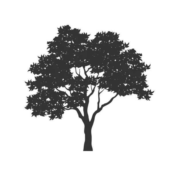 Siyah ağaç silueti. Orman bitkisi izole edilmiş görüntü. Doğa manzara elementi — Stok Vektör