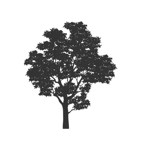 Schwarze Silhouette eines Baumes. Waldpflanze isoliertes Bild. Element Naturlandschaft — Stockvektor