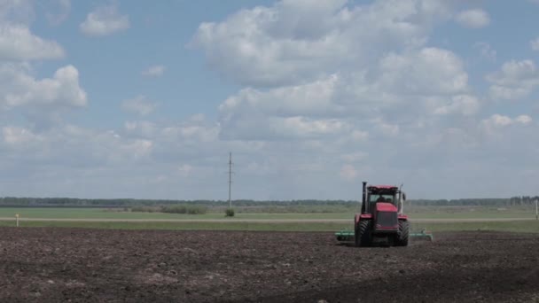 Campo de arado tractor cerca del bosque en verano . — Vídeo de stock