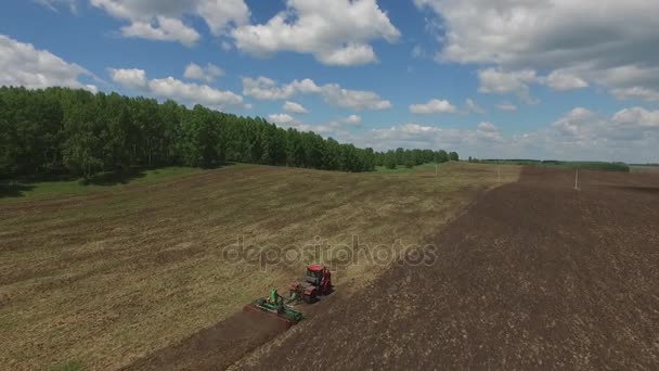 Tractor harvester on sowing. Late spring or early summer. Field. Green trees. — Stock Video