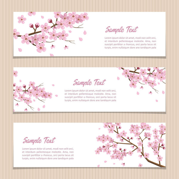 Set of Horizontal Sakura Banners with Place for Text.