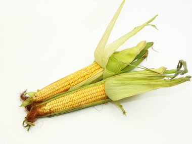 Mısır, gıda, sebze, cob, Mısır