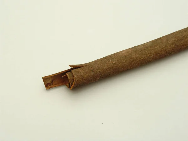Cinnamon, single, spice, stick — Stock Photo, Image