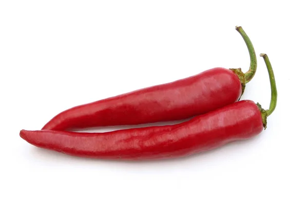 Pepper, sıcak, kırmızı, kırmızı biber