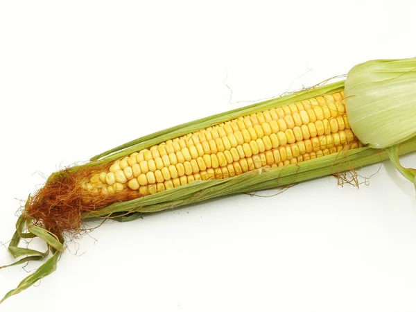 Corn, food, vegetable, cob, maize — Stock Photo, Image