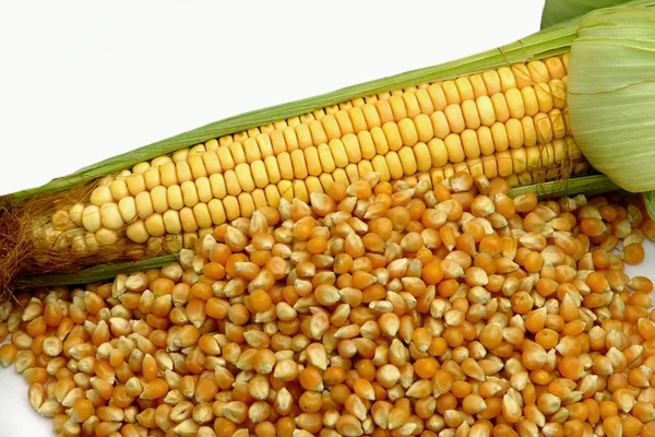 Kukorica, élelmiszer, növényi, csöves kukorica — Stock Fotó