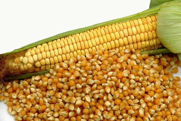 Mısır, gıda, sebze, cob, Mısır