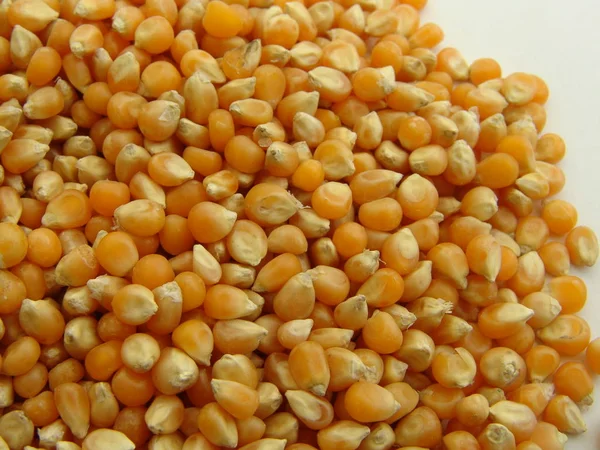 Mısır, gıda, sebze, cob, Mısır