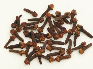 karanfil, baharat, izole