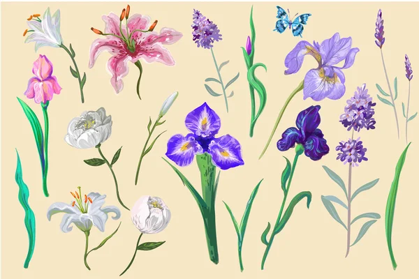 Λουλούδια με πεταλούδα συλλογή για το διαφορετικό σχέδιο απομονωμένο εύκολο να επεξεργαστείτε — Διανυσματικό Αρχείο