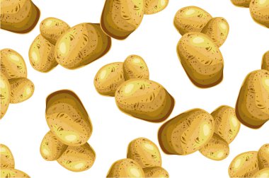 Dikişsiz desen patates. Vektör çizim çizilmiş
