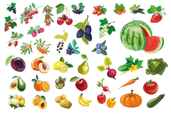 Beeren, Obst und Gemüse große Sammlung — Stockvektor