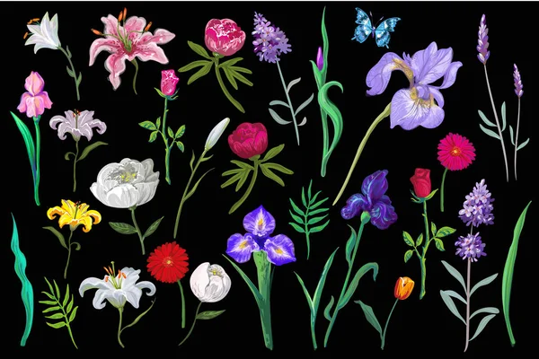 Vecteur grand ensemble incroyable de belles fleurs aux couleurs pastel sur fond noir — Image vectorielle