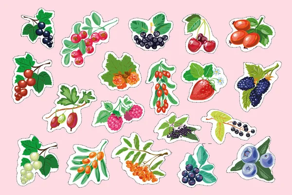 Набор векторных ягодных наклеек — стоковый вектор