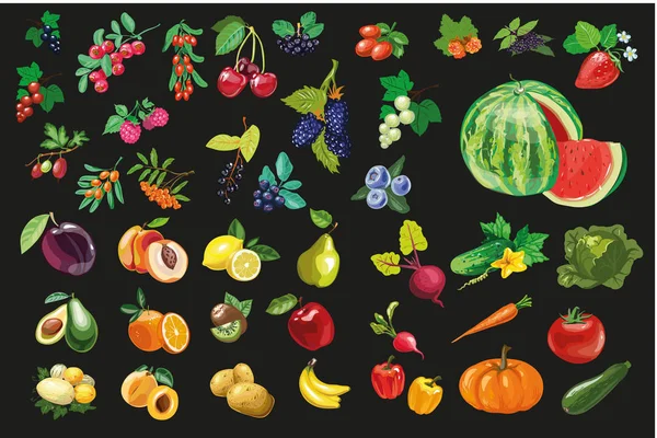 Fruit groenten en berriesorganic voedsel iconen vector illustratie — Stockvector