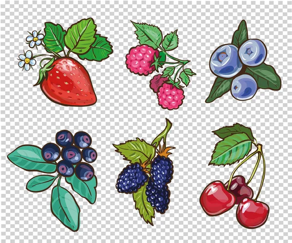 Büyük toplama çizilmiş çilek ver. Vektör çizim