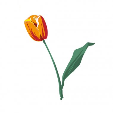 Gerçekçi çiçek Lale. Lale vektör eps10 nakış