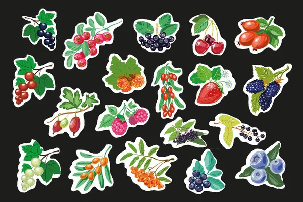 Meyve Berry çıkartmalar, iğne ayarla veya yamalar çilek ile ve bektaşi üzümü Blackcurrant ahududu yaban mersini moda