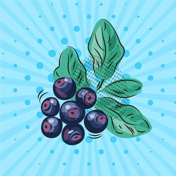 Blueberry twig with green leaves on a blue background. Vector illustration. Hand drawn on style pop art — Stock Vector