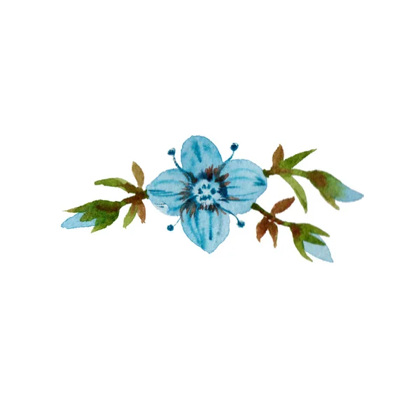 Декоративная акварельная цветочная композиция с листьями и бутонами, выделенными на белом — стоковое фото