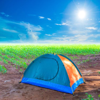 Cornfields üzerinde renkli çadırları 