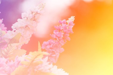 renk filtreleri ile yapılan güzel çiçekler