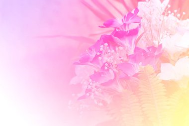 bloemen gemaakt met kleur filters
