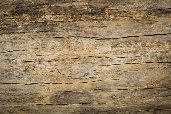 Abstract surface wood table texture background. Close up of dark