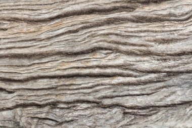 Soyut yüzey ahşap masa doku arka plan. Karanlıktan yakın çekim