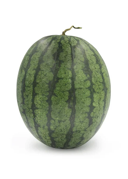 Fresh Organic Whole Watermelon White Isolated Background Clipping Path Vertical — Stock Photo, Image