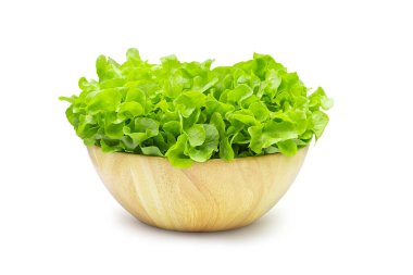 Ahşap kasede çiğ organik yeşil meşe marulu, izole edilmiş arka planda kırpma yolu var. Taze yeşil meşe marulu yüksek lifli ve vitaminli, gevrek, salata için lezzetli. Yiyecek ve sebze konsepti.