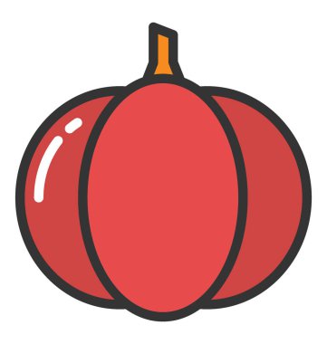 Kabak vektör simgesi