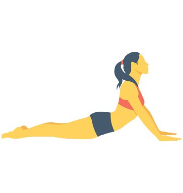 Omurga renk vektör simgesi