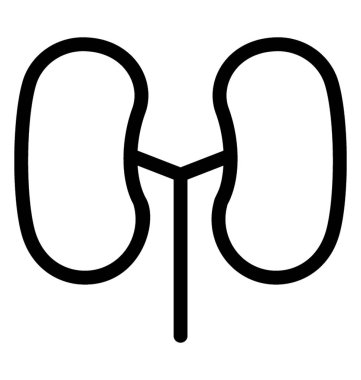 Böbrekler vektör simgesi