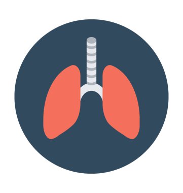 İnsan akciğerleri vektör çizim