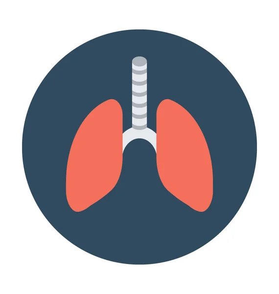 Ilustração vetorial de pulmões humanos — Vetor de Stock
