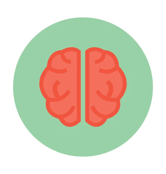 Human Brain Vector Illustration — Stock Vector