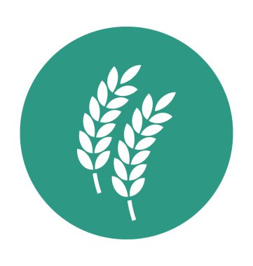 Buğday kulak vektör simgesi