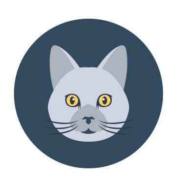 Kedi düz vektör simgesi