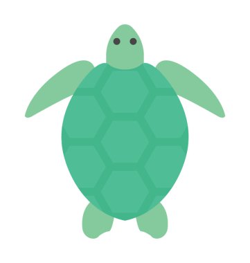 Yeşil renk deniz kaplumbağası ana sayfa görünümü, düz vektör simgesi