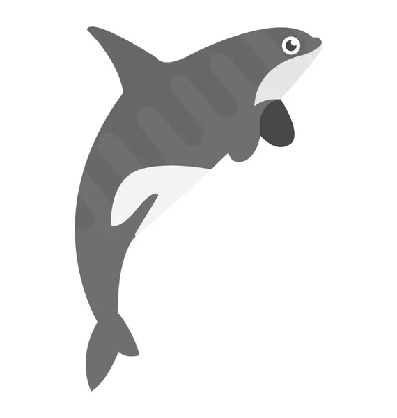 Slavný Velkolepé Delfínů Skok Plochý Vektorové Ikony — Stockový vektor