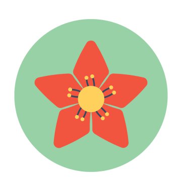 Atatürk çiçeği çiçek vektör simgesi