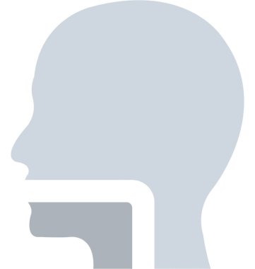 Yemek borusu düz vektör simgesi