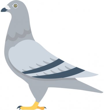 Güvercin düz vektör simgesi