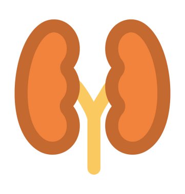 Böbrekler kalın vektör simgesi